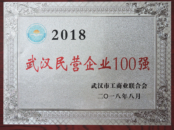 天馬建設集團榮列“2018武漢民營企業(yè)100強”第50位